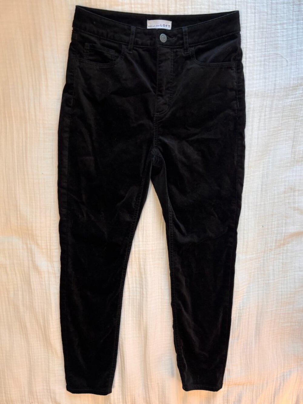 LOFT Petite Velvet Tuxedo Stripe Slim Pocket Pants